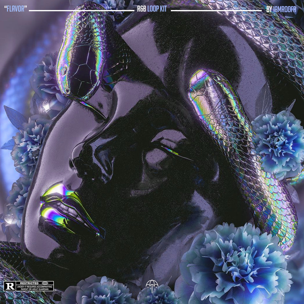 "Flavor" R&b Loop kit
