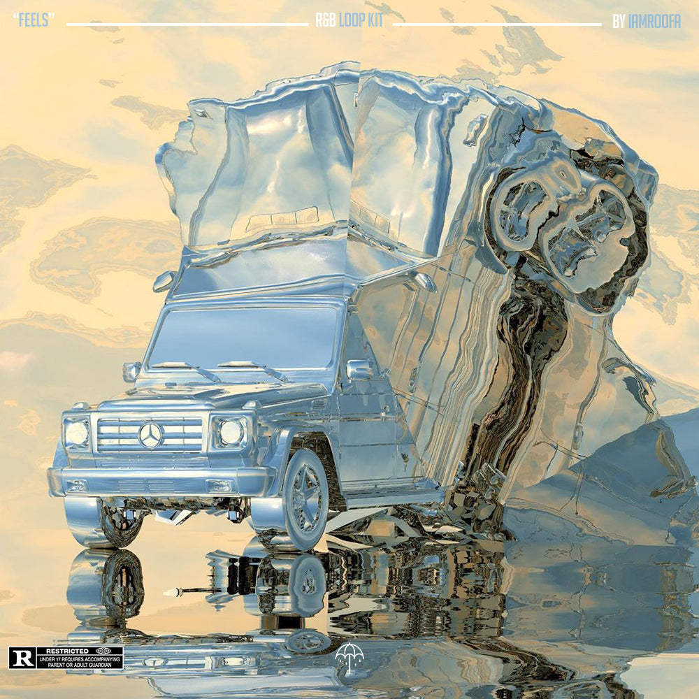 "Feels" R&b Loop kit