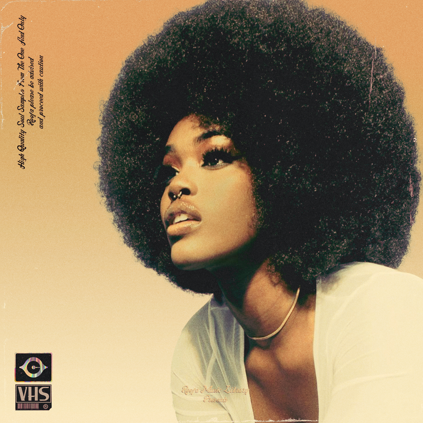 We Got Soul 2 - Sample Pack