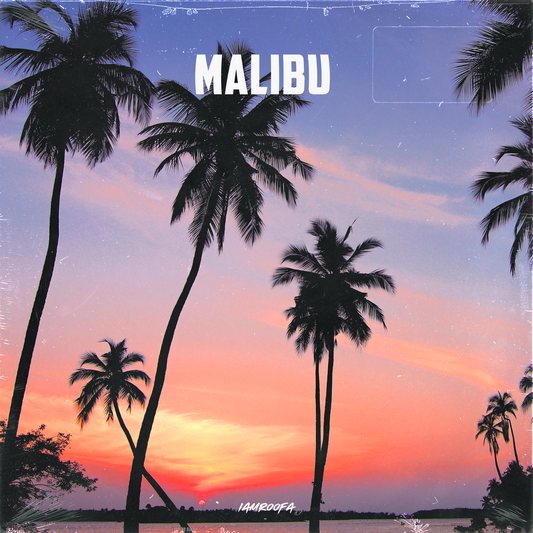 Malibu - RnB Loop Kit