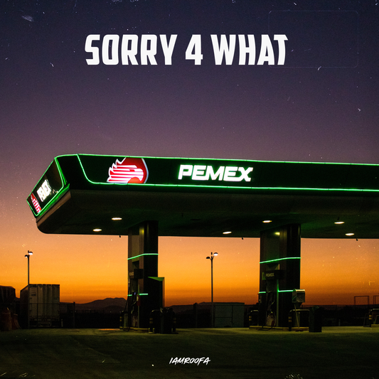 Sorry 4 What - RnB Loop Kit